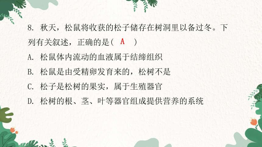 人教版生物七年级上册 第三单元生物圈中的绿色植物水平测试卷习题课件(共44张PPT)