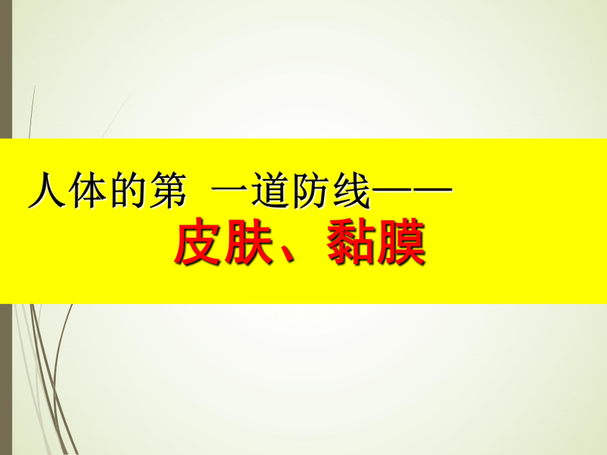 沪教版生物第一册 3.2.2 人体的免疫功能  课件(共32张PPT)