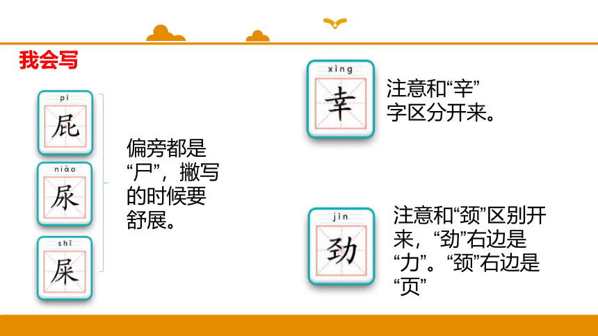 第11课 我是一只小虫子 课件（22张）