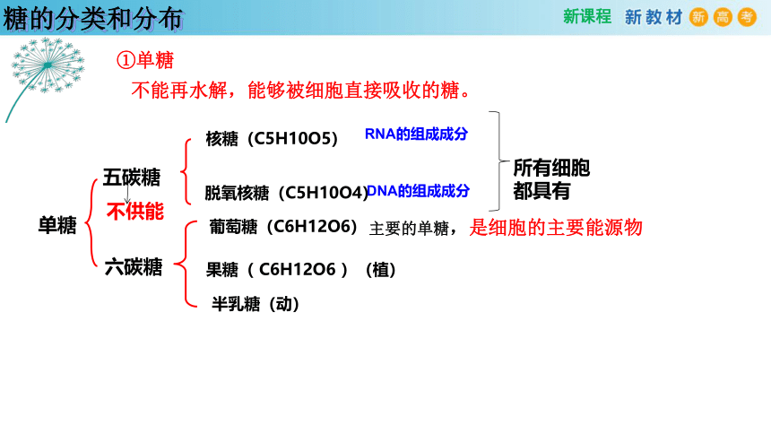 2.3 细胞中的糖类和脂质(2课时）(课件共22张PPT)