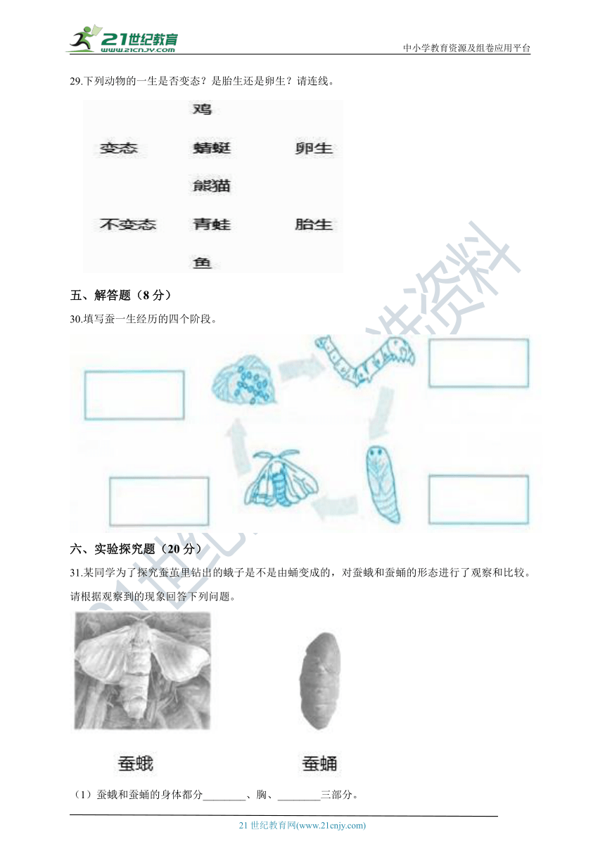 教科版（2017年）小学三年级下册第二单元测试卷（含答案解析）