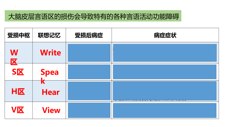 生物人教版（2019）选择性必修1 2.5人脑的高级功能（共23张ppt)