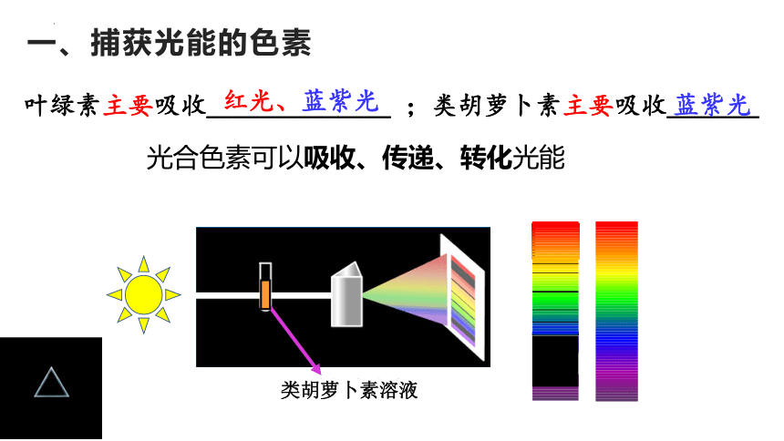 5.4光合作用与能量转化课件(共35张PPT有1份视频)2022—2023学年高一上学期生物人教版必修1