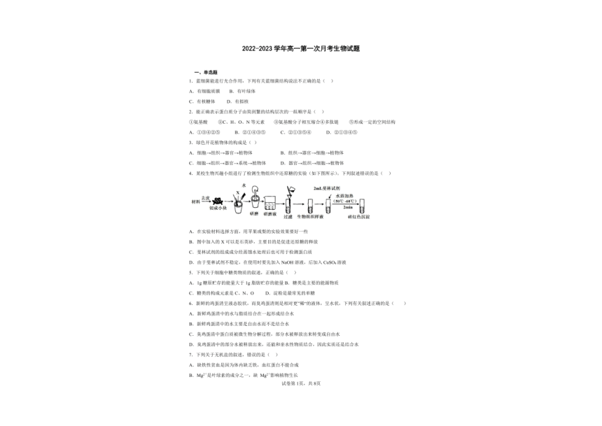 山东省聊城市临清市实验高中2022-2023学年上学期高一第一次考试生物（图片版含 答案）