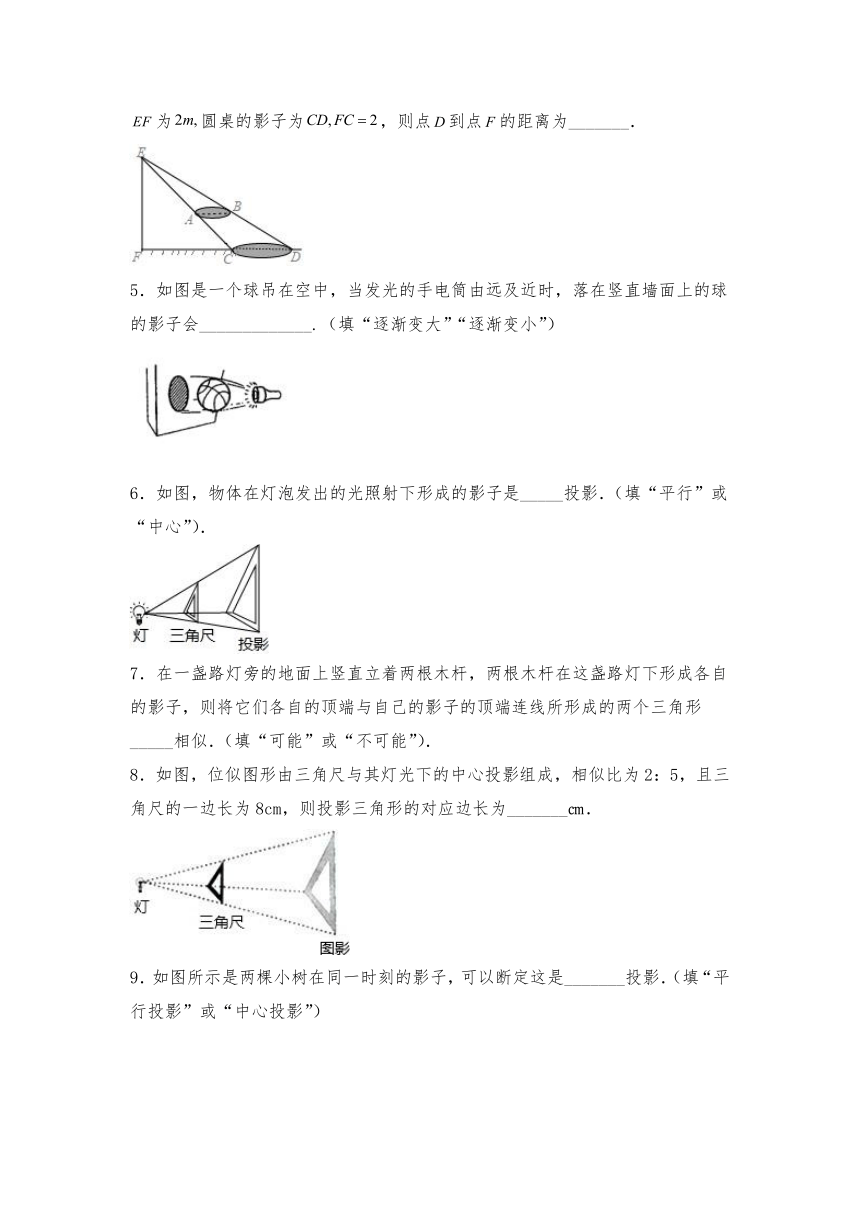 5.1投影试题（含答案） 北师大版九年级数学上册