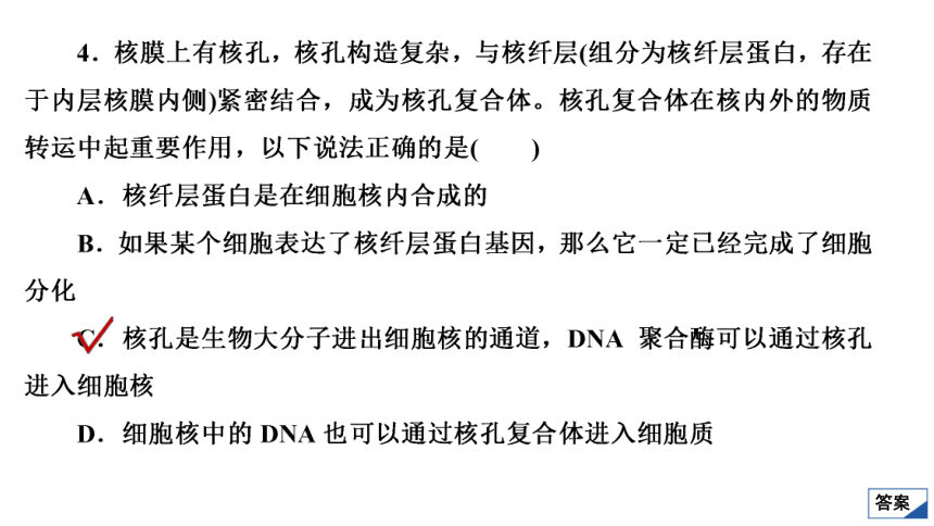 高考生物复习用卷：考点5 细胞核　细胞膜（共42张PPT）