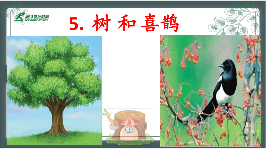 5.树和喜鹊 课件