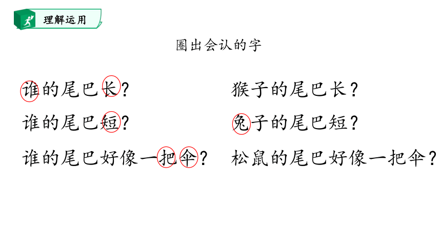 6.比尾巴 课件(共28张PPT)