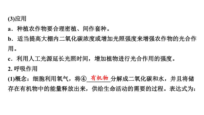 3.4  植物的光合作用、呼吸作用与植物在生物圈中的作用复习课件(共59张PPT)