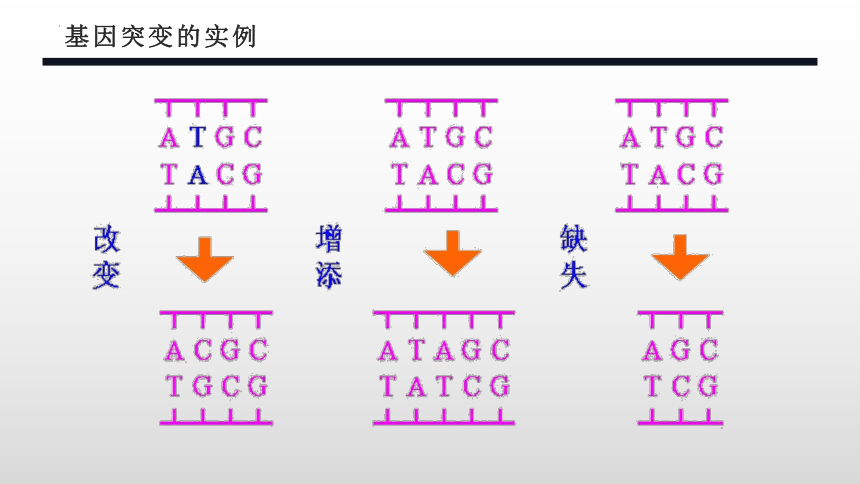 生物人教版（2019）必修2 5.1基因突变和基因重组（共40张ppt）
