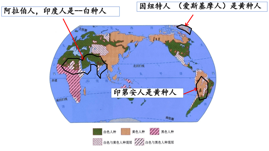 人文地理（人教版）七年级上册 人口人种与语言宗教专题课件