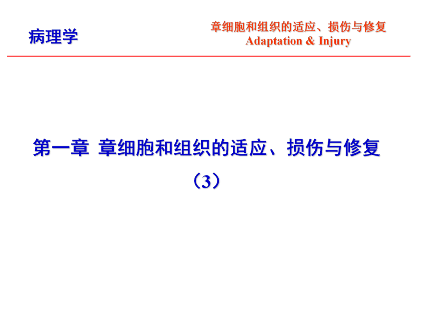 第1章 细胞和组织的适应、损伤与修复3 课件(共27张PPT)-《病理学·第4版》同步教学（科学出版社）