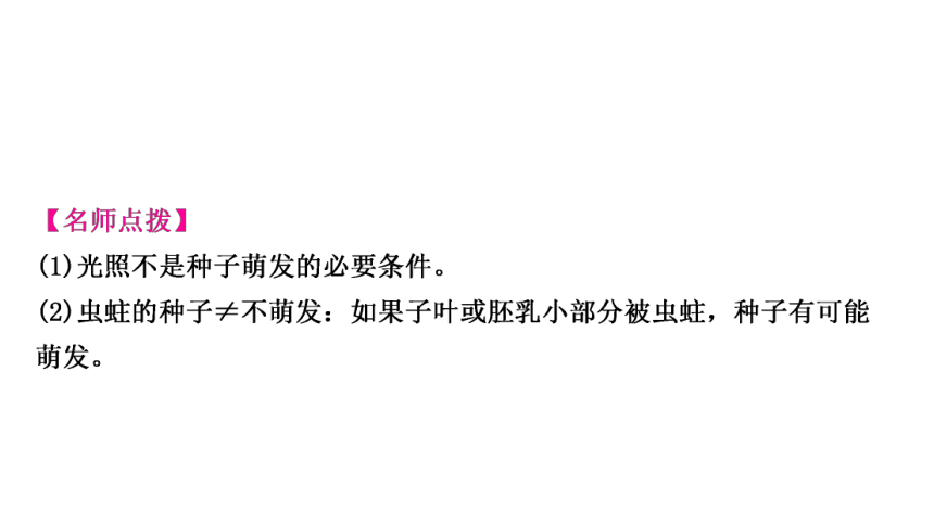 2023年人教版七年级生物上册复习专题★★第二章　被子植物的一生 课件