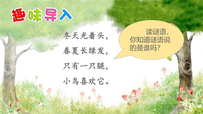 2树之歌（课件）(共41张PPT)