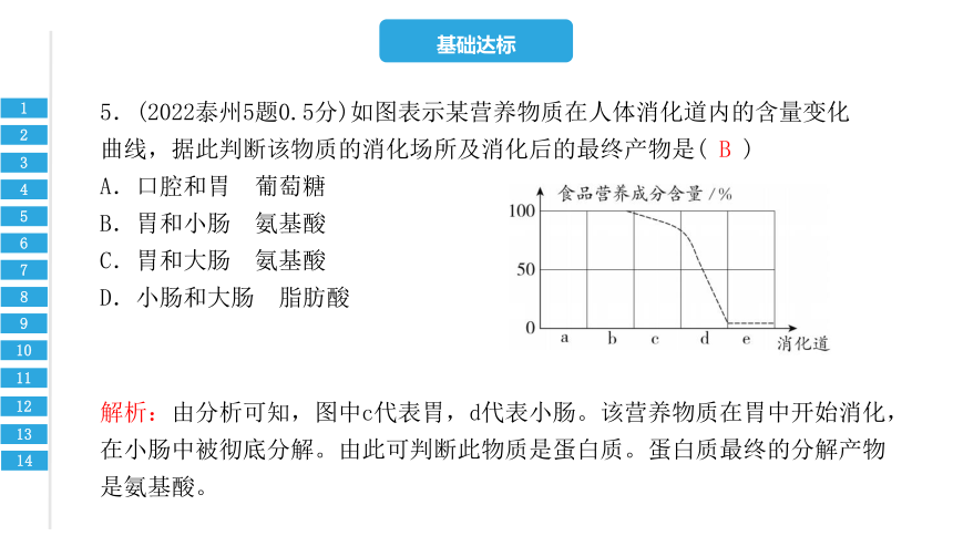 第四单元  第二章   人体的营养-2023年中考生物复习习题课件（共20张PPT）（人教版）