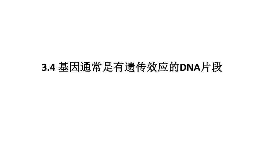 3.4 基因通常是有遗传效应的DNA片段课件(共22张PPT)