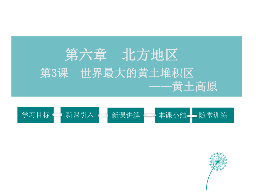 2021-2022学年度人教版八年级地理下册课件 6.3 世界最大的黄土堆积区——黄土高原(共46张PPT）