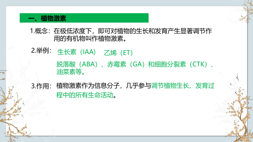 4.2 其他植物激素（第1课时）(共23张PPT3份视频)高二生物上册(苏教版2019选择性必修1)