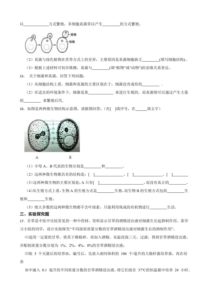 2022-2023学年浙教版科学七年级下册1.6细菌和真菌的繁殖 课时练（含解析）