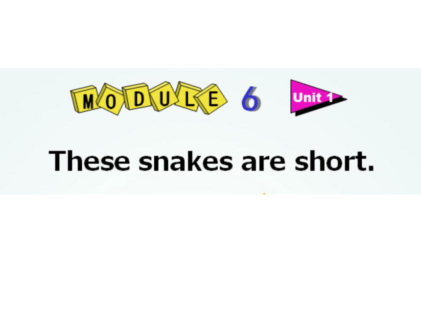 Module 6 Unit 1 These snakes are short. 课件