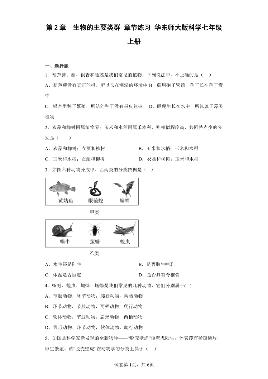 第2章 生物的主要类群 章节练习 （含答案）