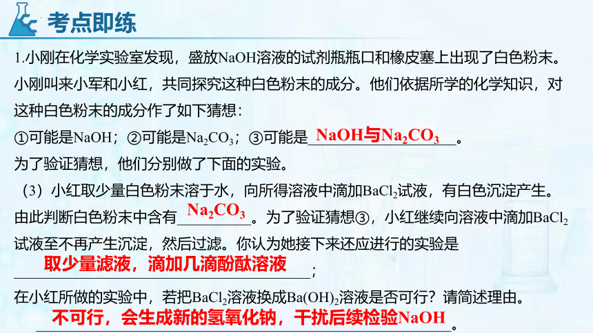 专题04 碱变质的探究-中考化学二轮复习精品课件(30页)广州专用）