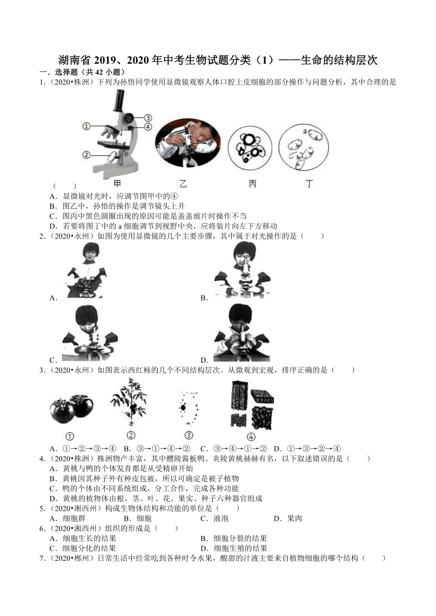 湖南省2019、2020年中考近两年生物试题分类——生命的结构层次(含解析)