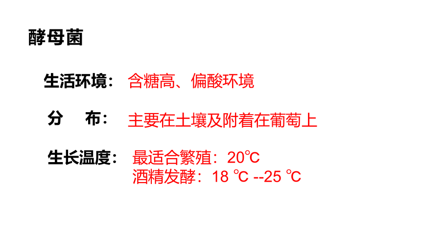 2021-2022学年高二下学期生物人教版选修一1.1果酒果醋的制作课件(共30张PPT)