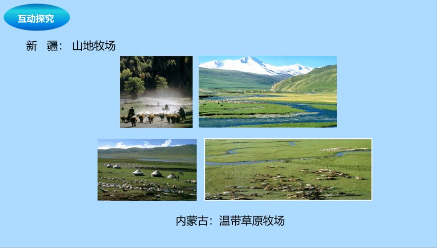 中图版（北京）地理七年级下册8.4.2西北地区课件(共41张PPT)