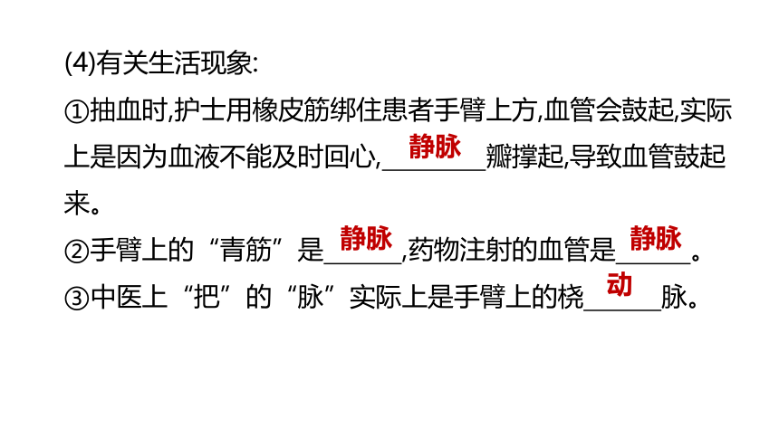 2022年浙江省中考科学一轮复习 第07课时　与人体代谢相关的系统-循环和泌尿（课件 54张PPT）