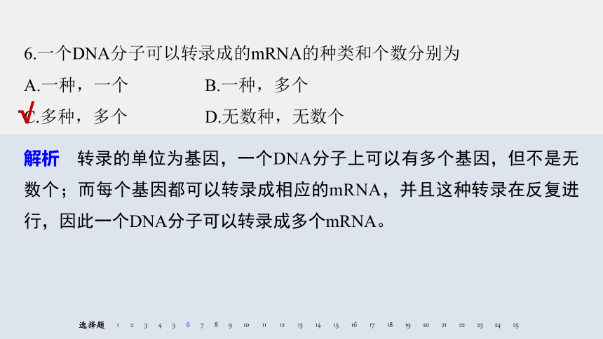 第1章 遗传信息的分子基础 习题课件（共65张PPT）
