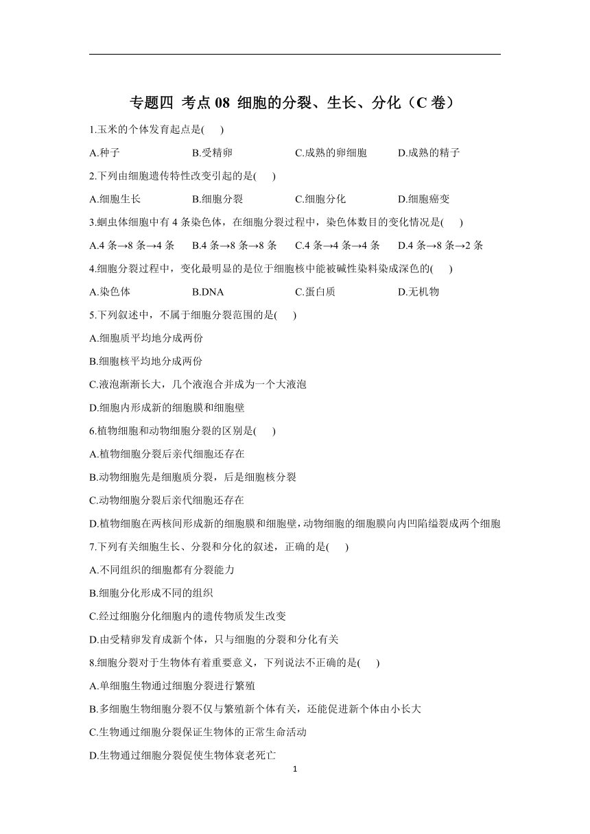 2023年中考一轮复习生物重点练：专题四 考点08 细胞的分裂、生长、分化（C卷）（含解析）