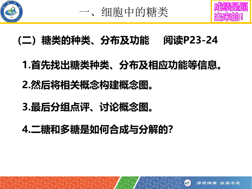 2022——2023学年高一上学期生物人教版必修1-2.3  细胞中的糖类和脂质  课件 (共35张PPT)