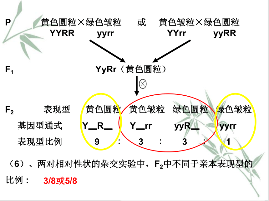 1.2 孟德尔从两对相对性状的杂交实验中总结出自由组合定律 课件（共44张PPT）