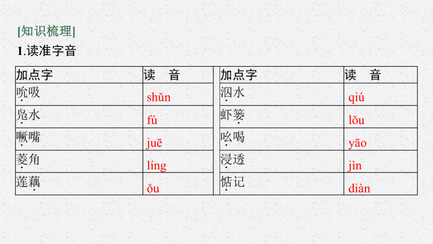 统编版（部编版）选择性必修中册第二单元8　荷花淀　小二黑结婚(节选)　党费(共75张PPT)