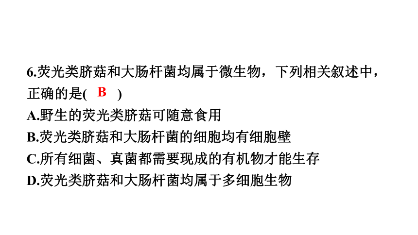 2023年中考生物复习专题★★★细菌和真菌病毒课件(共23张PPT)