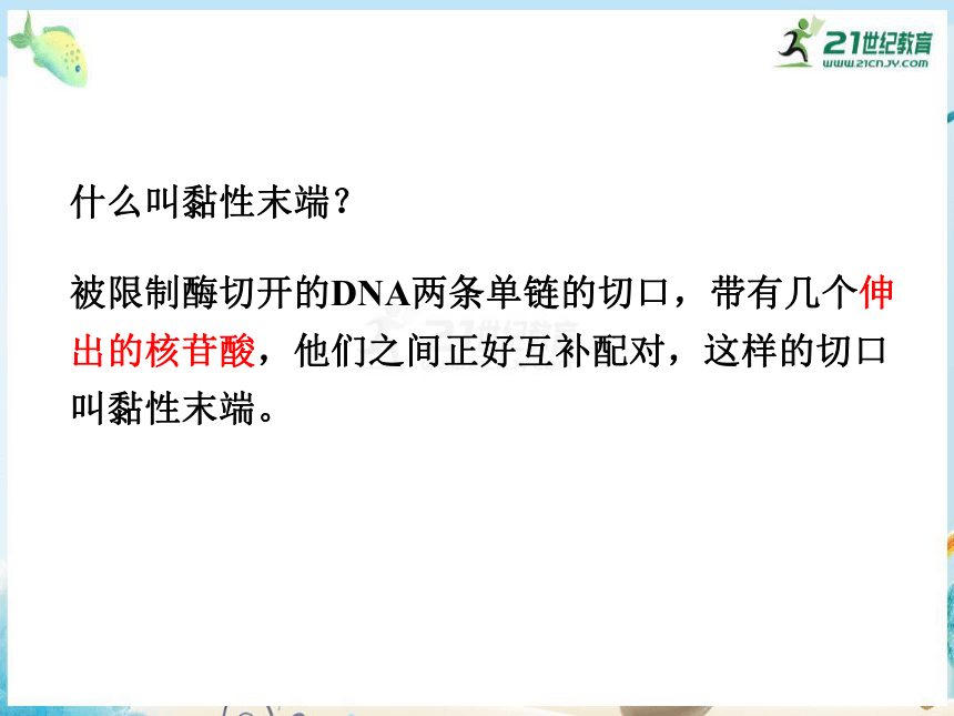 6.2 基因工程及其应用（共37张PPT）