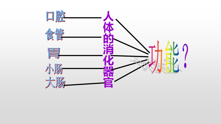 四年级上册科学课件 《2.8食物在身体里的旅行》教科版   (共26张PPT)