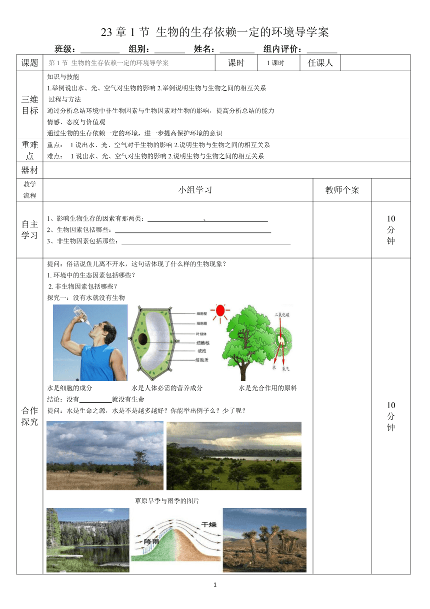 北师大版生物八年级下册8.23.1 生物的生存依赖一定环境 导学案