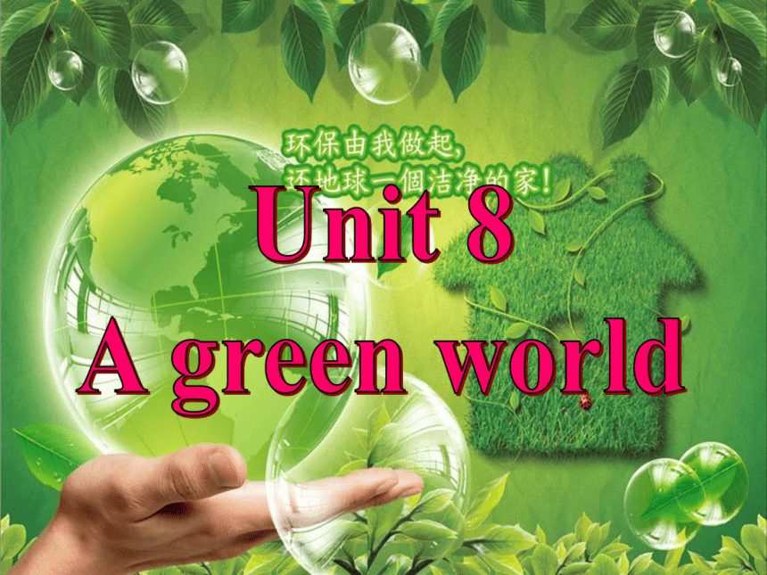 译林版八下英语Unit 8 A green world Task 课件（24张ppt）