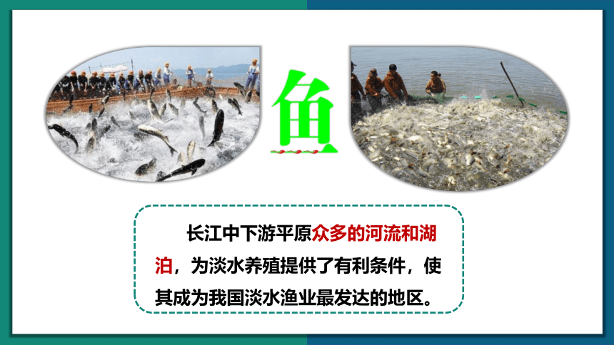 【地理核心素养】7.2 长江中下游平原（课件）-2022-2023学年八年级地理下册同步精品课堂（商务星球版）(共31张PPT)