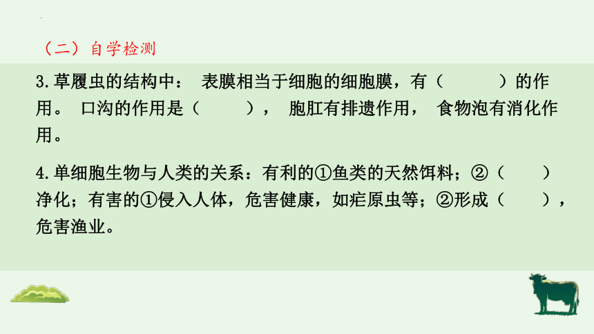 2.2.4单细胞生物课件(共19张PPT)2023-2024学年人教版生物七年级上册