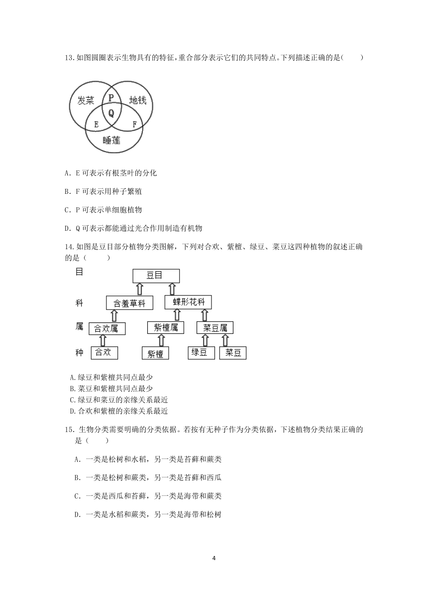 【期末提分】浙教版2022-2023学年上学期七年级科学达标训练（六）：常见的植物【word，含答案】