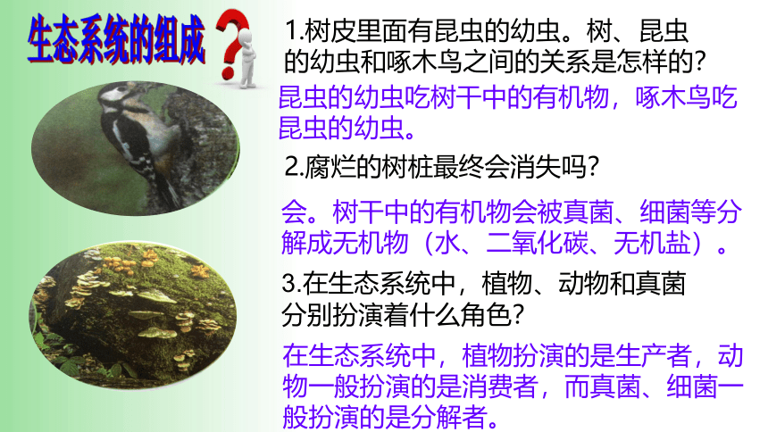 2021——2022学年人教版七年级生物上册1.2.2 生物与环境组成生态系统 课件（21张PPT）