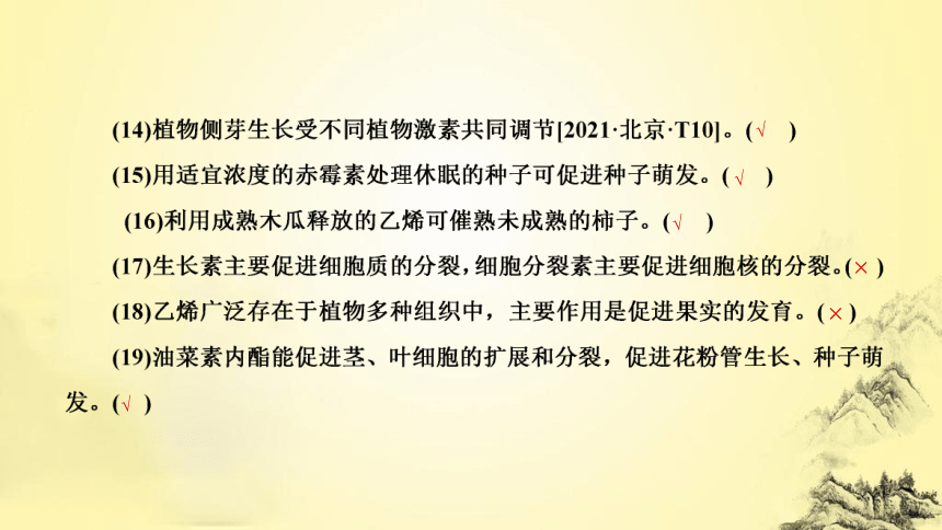 新人教生物二轮复习课件11 植物生命活动的调节(课件共50张PPT)