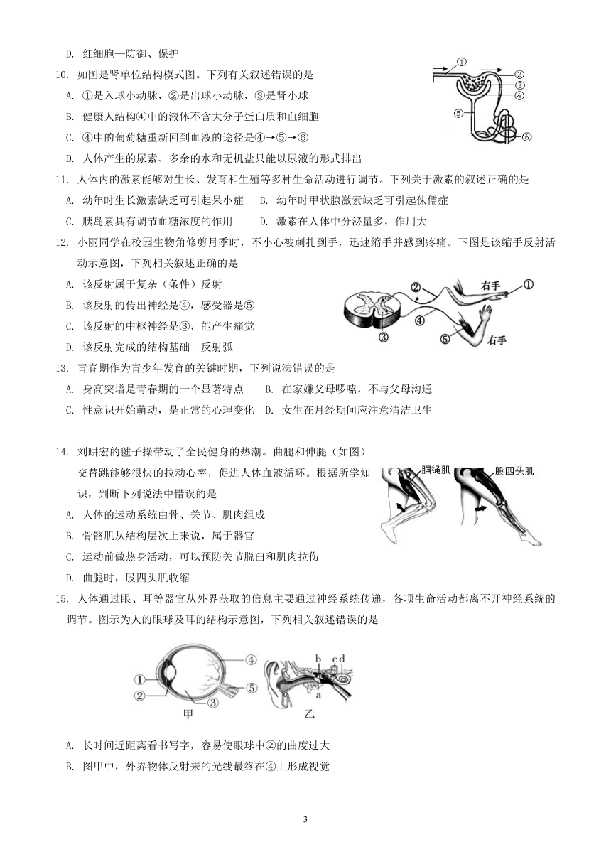 2023年北京市延庆区八年级学业考试一模生物试卷（含答案）