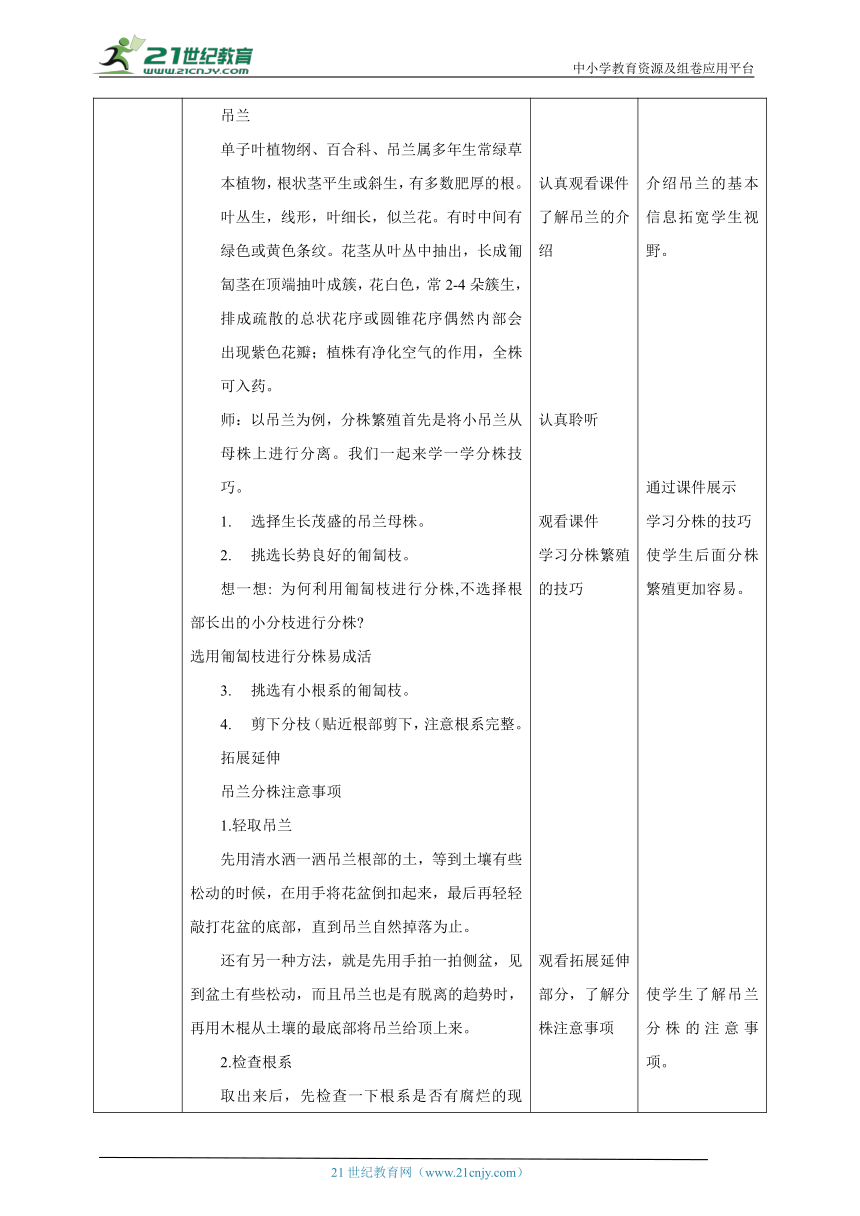 【核心素养目标】浙教版七下项目二任务二《花卉的分株繁殖》教案