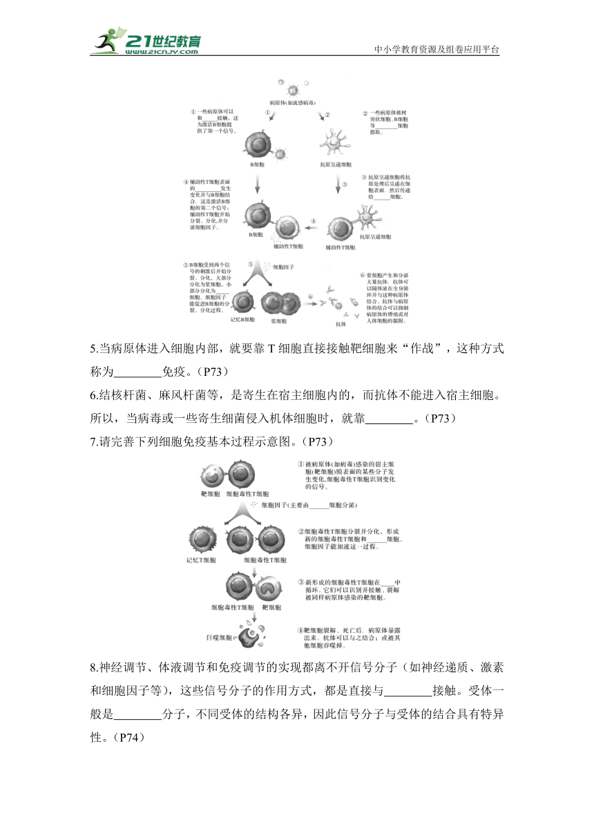 新高考生物晨背晚默：选择性必修1第4章 免疫调节