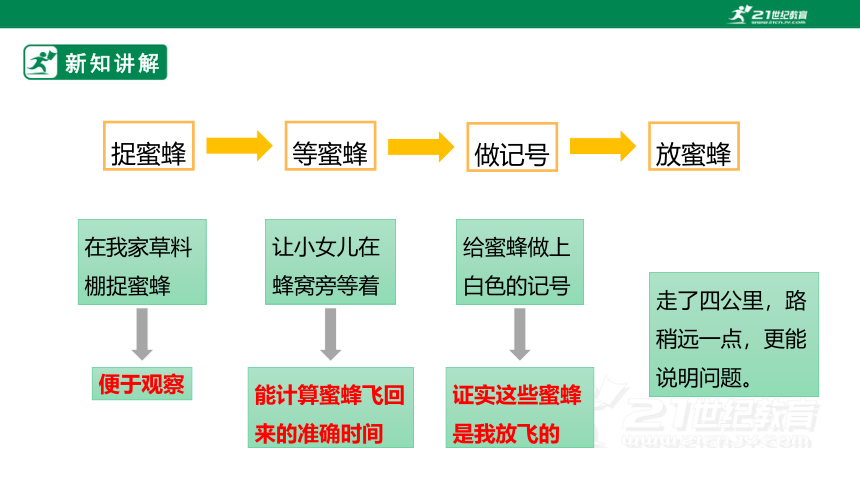 【新课标】部编版三下 14 蜜蜂 课件 第2课时