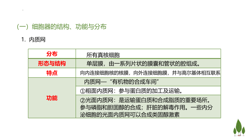 2.3 细胞质是多项生命活动的场所课件（共47张PPT）高一生物学（浙科版2019必修1）